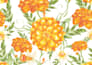 design overall and seamless patterns
